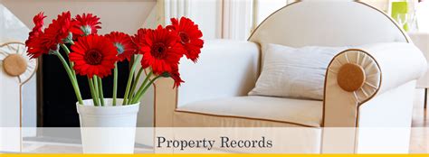 Allegheny county property portal. Things To Know About Allegheny county property portal. 
